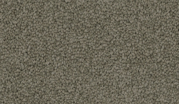 Sixth Avenue Godfrey Hirst Carpet